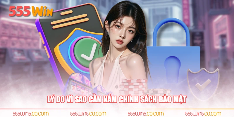 Lý do vì sao cần nắm chính sách bảo mật